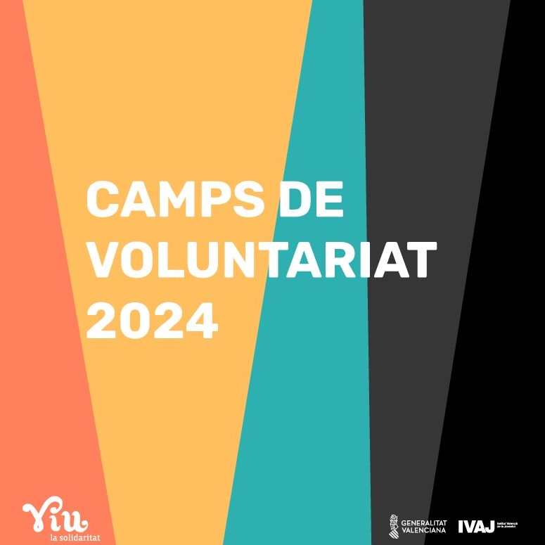 Camps de Voluntariat, joves, GVAIVAJ