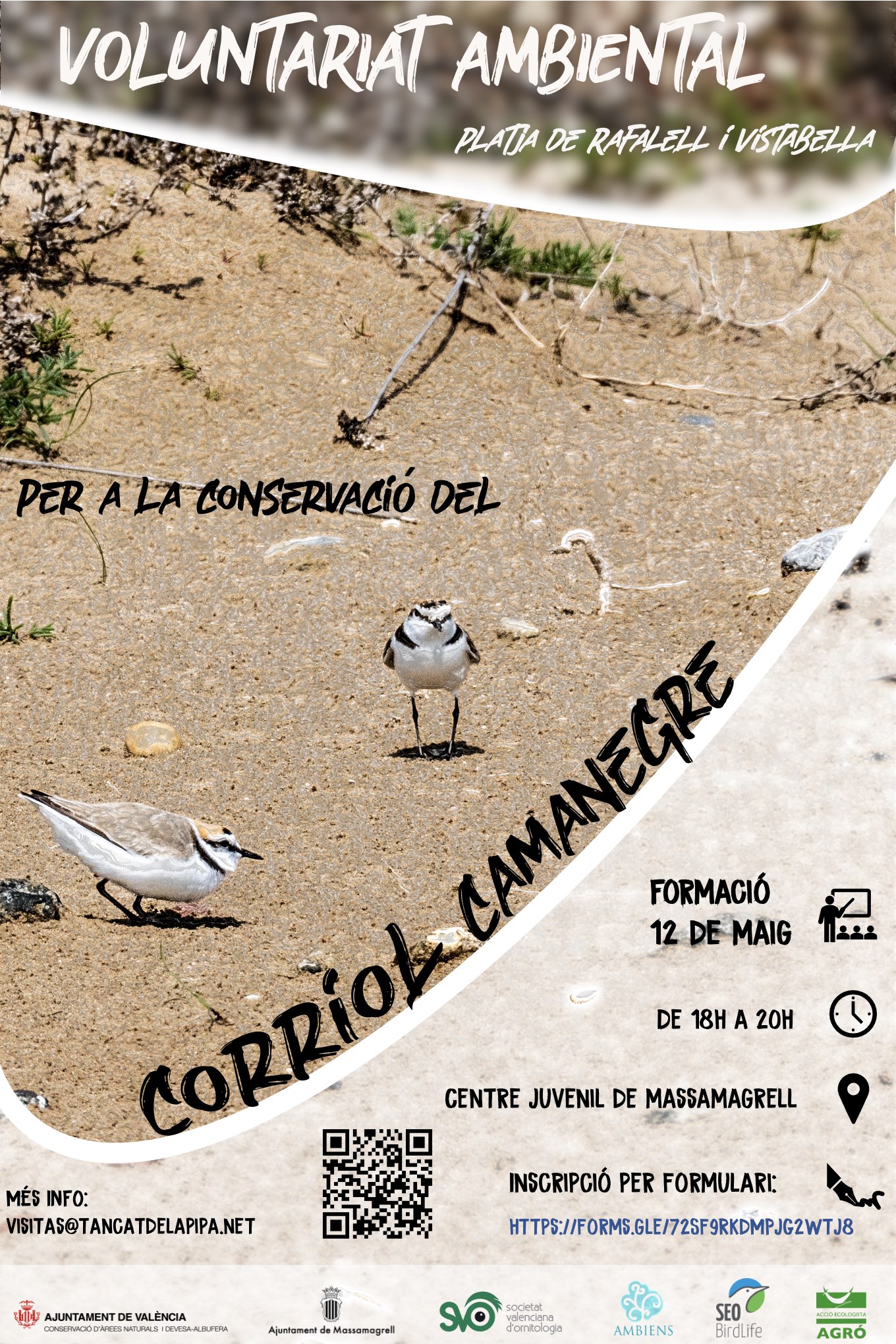 Voluntariat Corriol Camanegre