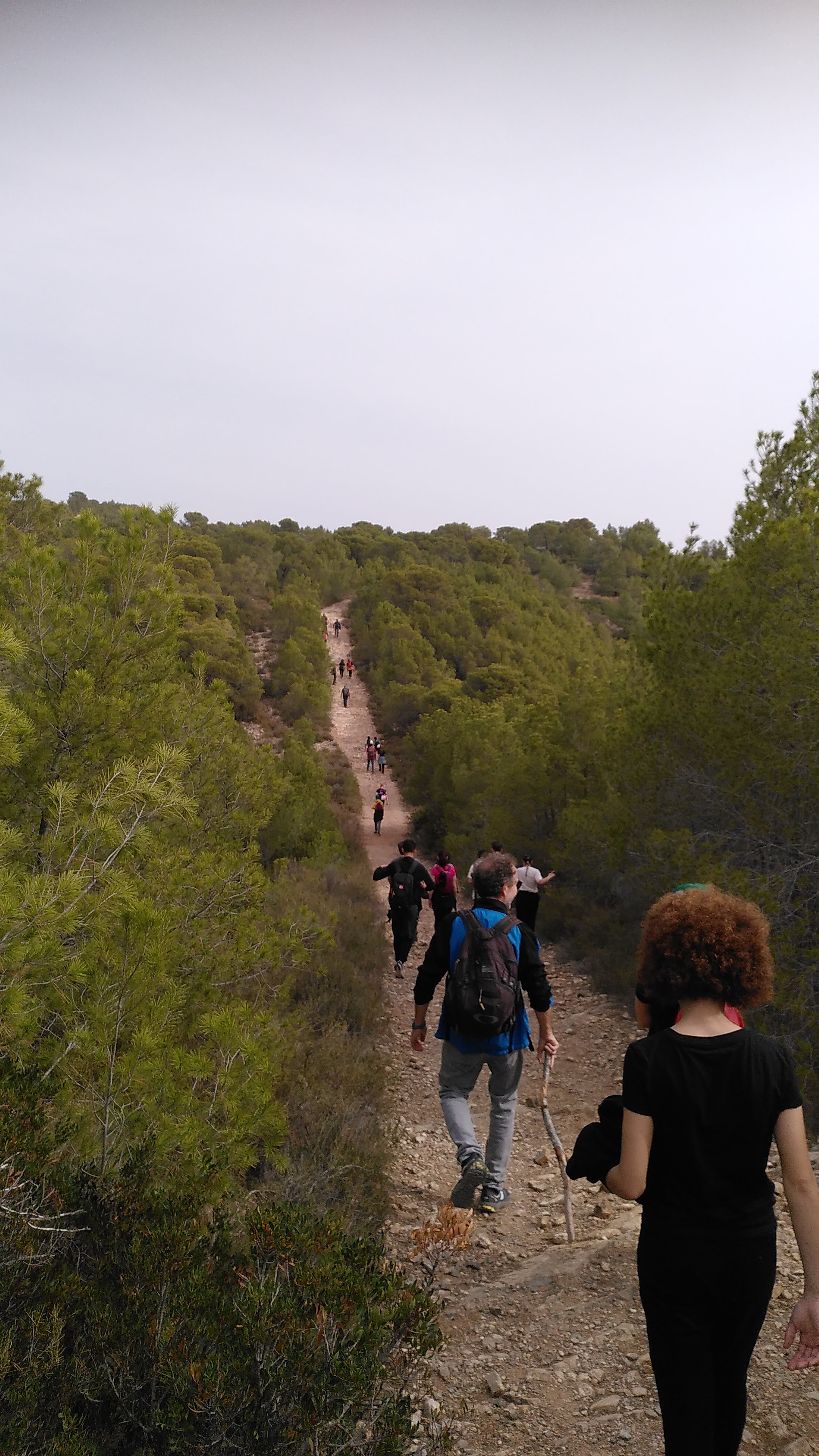 tallafocs pujant la muntanya de Romeu