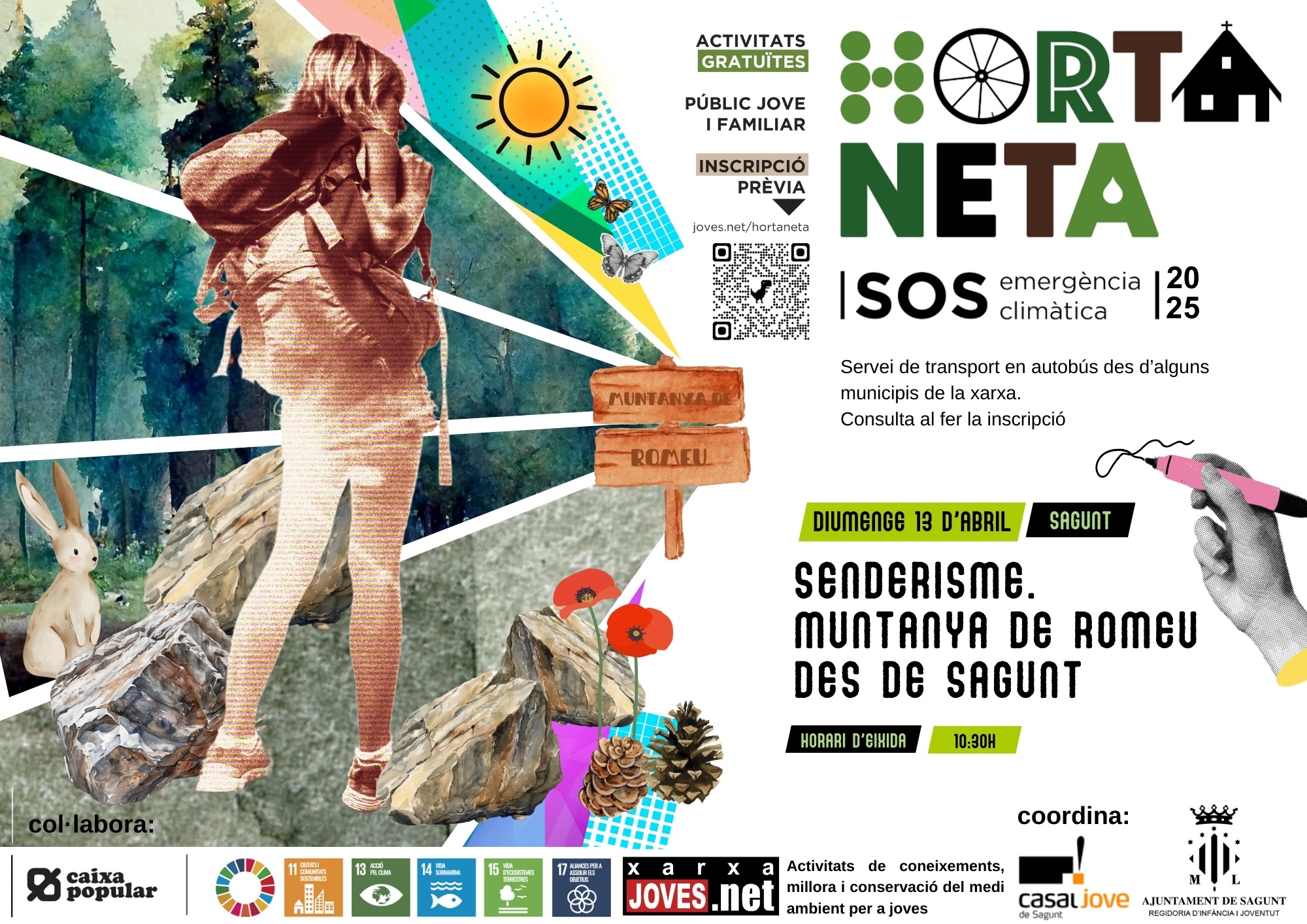 Sagunt, Horta neta