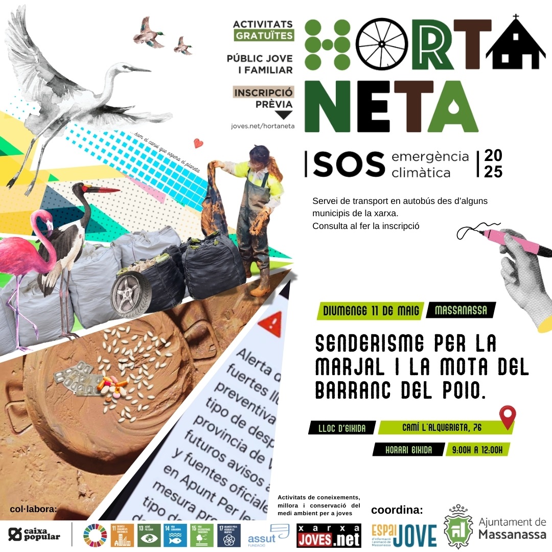 Horta Neta 2025