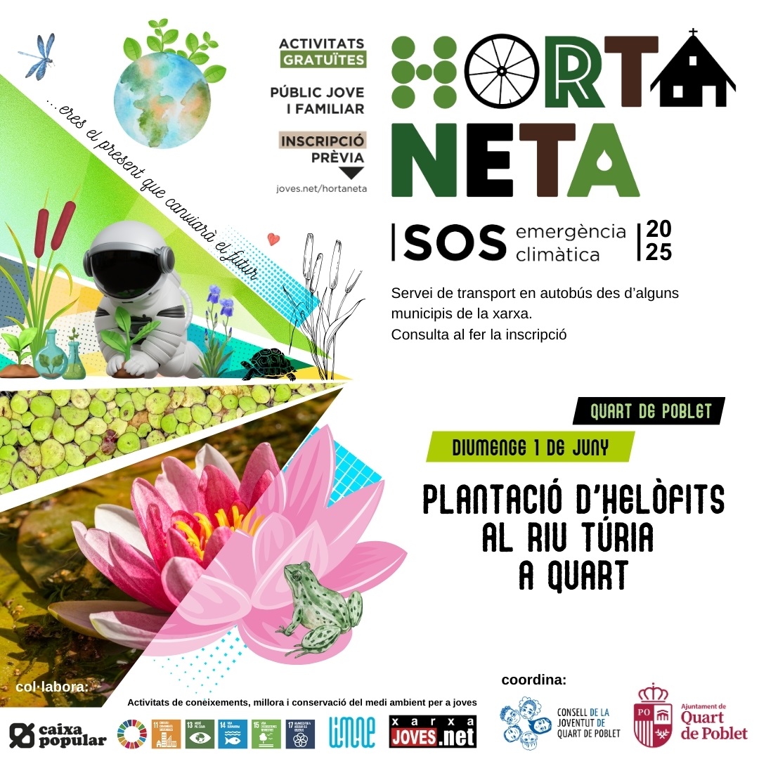 Horta Neta 2025