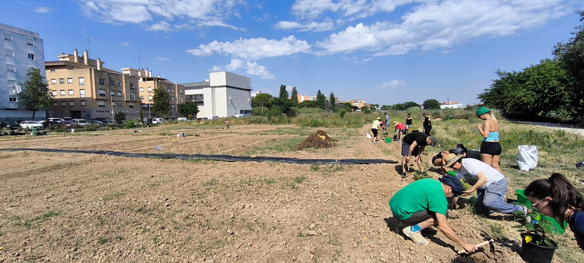 Activitat Assoc. l'Animeta Quart de Poblet