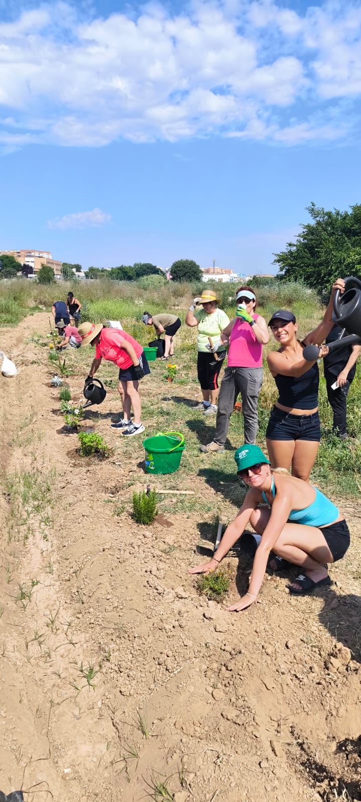 Activitat Assoc. l'Animeta Quart de Poblet