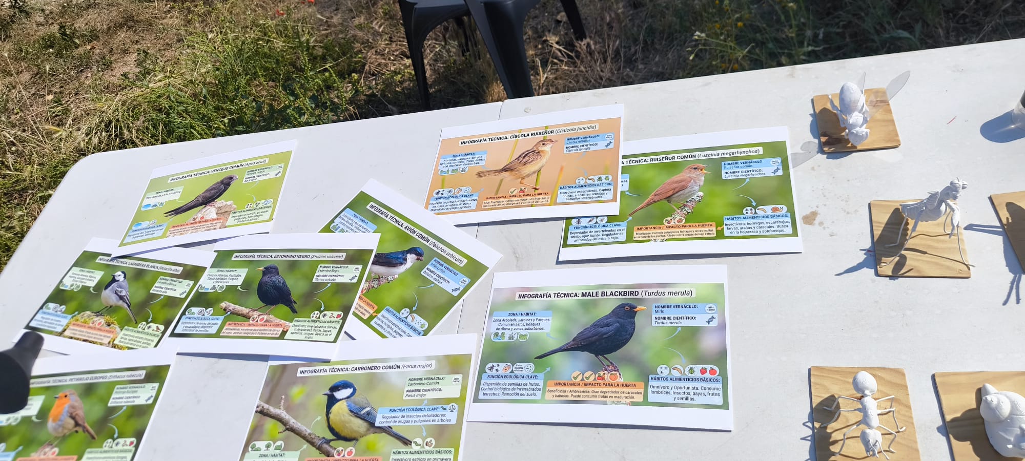 Activitat Assoc. l'Animeta Quart de Poblet