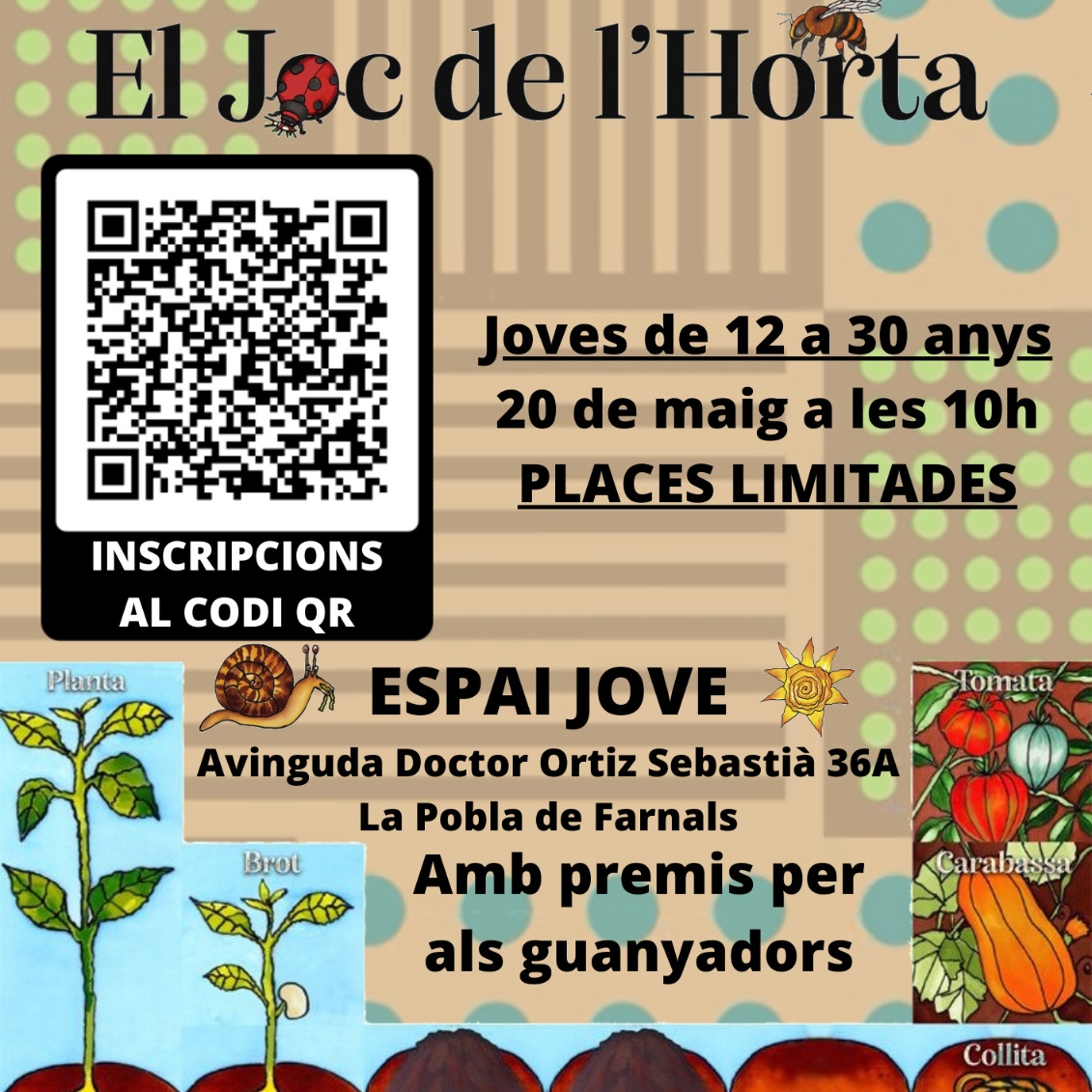 Cartell Torneig Horta