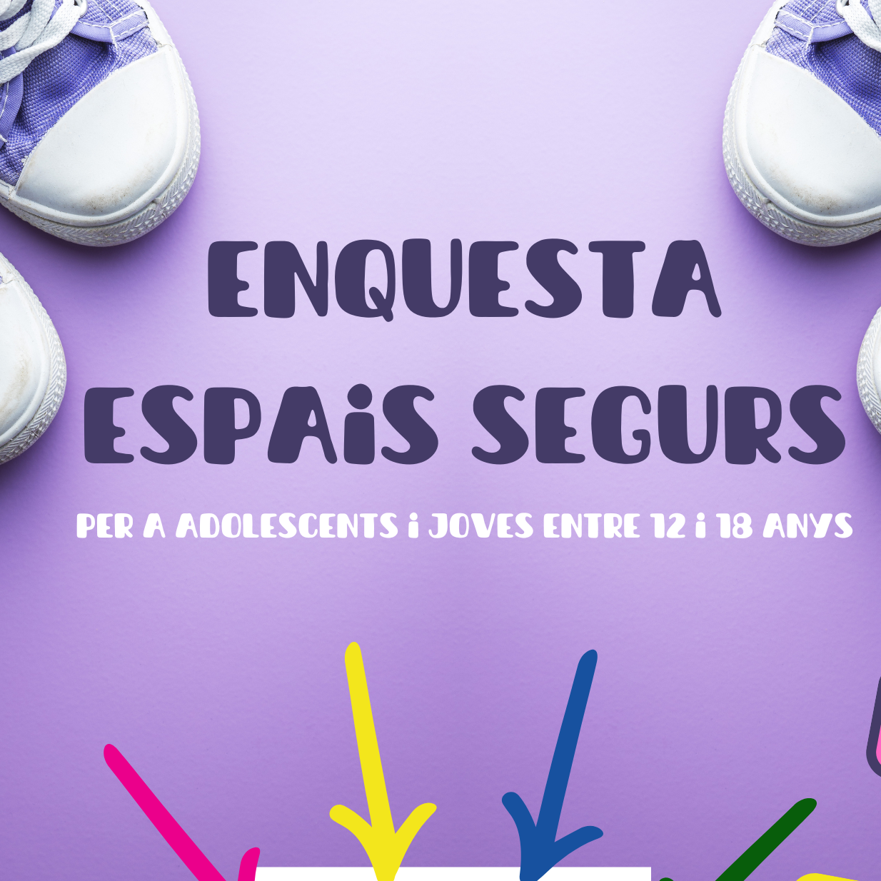 Enquesta Espais Segurs